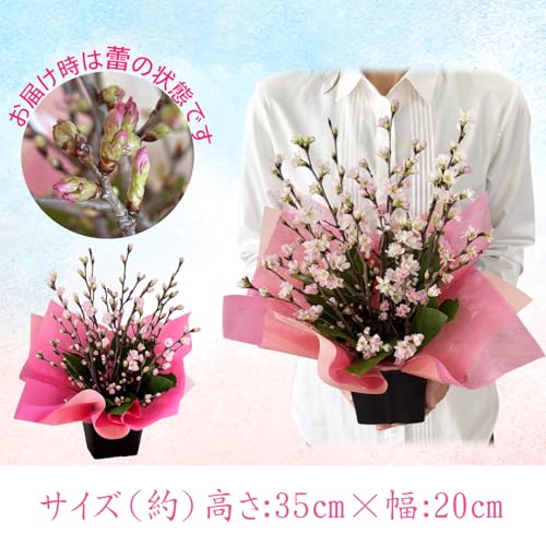 Amazon.co.jp: 花のギフト社